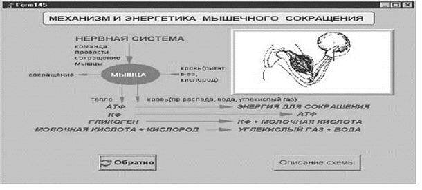 : http://lib.sportedu.ru/Press/TPFK/2001N5/Images/Volkov3.jpg